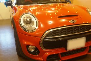 miniひょう（雹）被害デントリペア