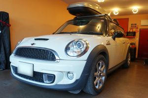 ミニクラブマンチッピング